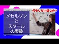【生物】メセルソンとスタールの実験