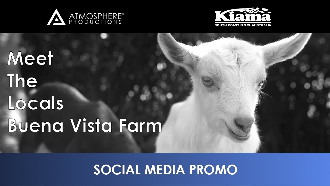 Meet The Locals Buena Vista Farm YouTube