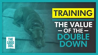 The value of the Double Down | The Good Dog Training