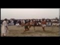 Lakki Marwat Daulat khel kabbadi