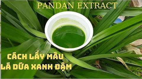 Cách Lấy Màu Lá Dứa Xanh Đậm| How to Make PANDAN Extract|Make N Cook