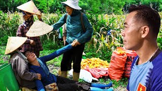 A Bumper Corn Harvest — Kind Elderly Women Helped Thúy Overcome Danger screenshot 5