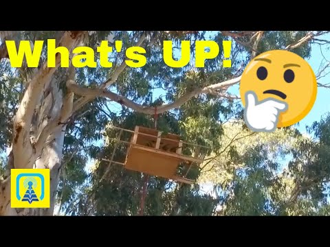 SkyLIVE - Who's Feeding In The House?