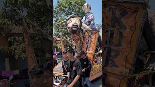 Domba kuring #shorts_videos #dombakuring