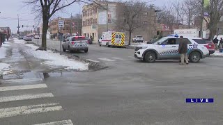 2 dead, 1 wounded in Grand Crossing shooting