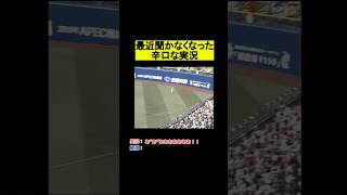 【プロ野球】最近聞かなくなった辛口実況 #阪神タイガース #プロ野球 #野球