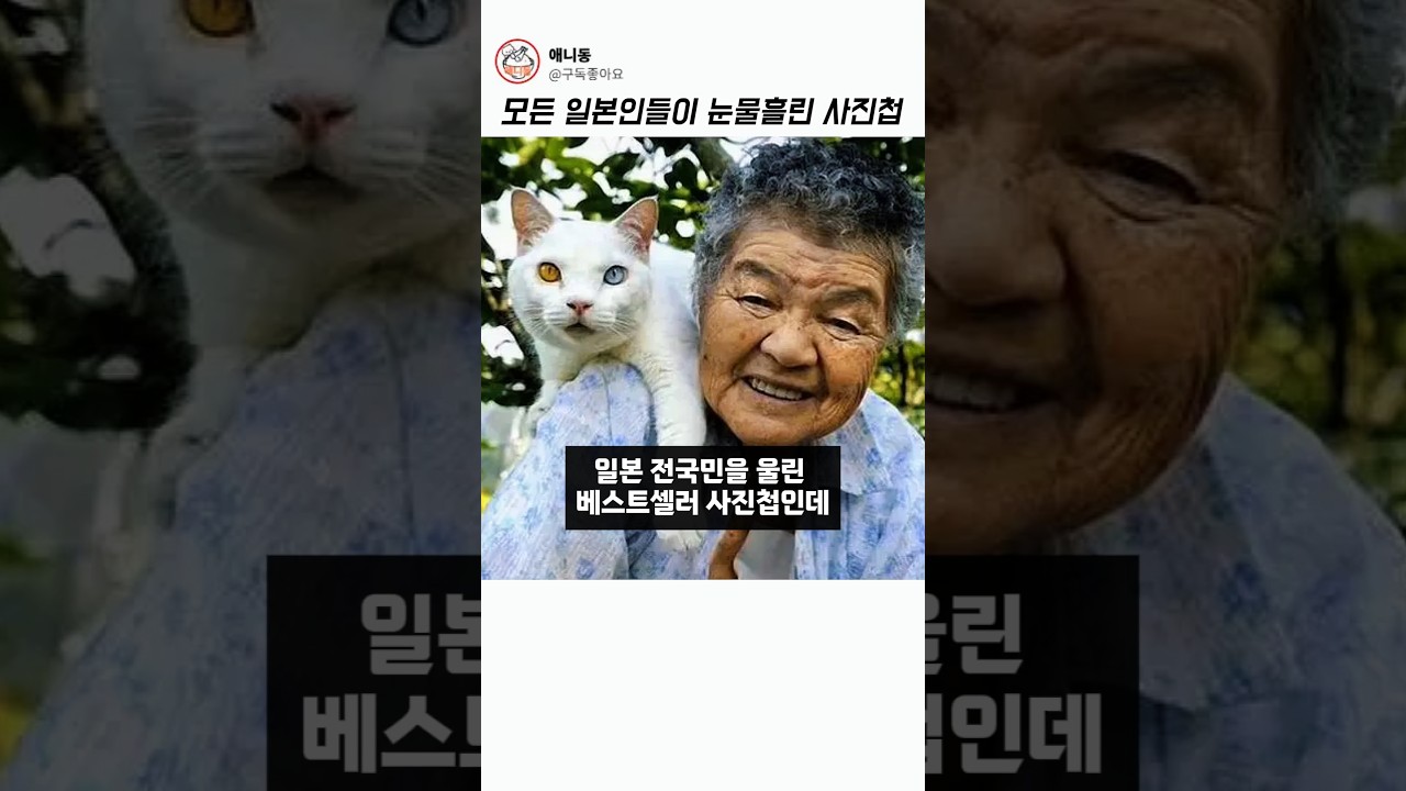 모든 일본인들이 눈물흘린 사진첩