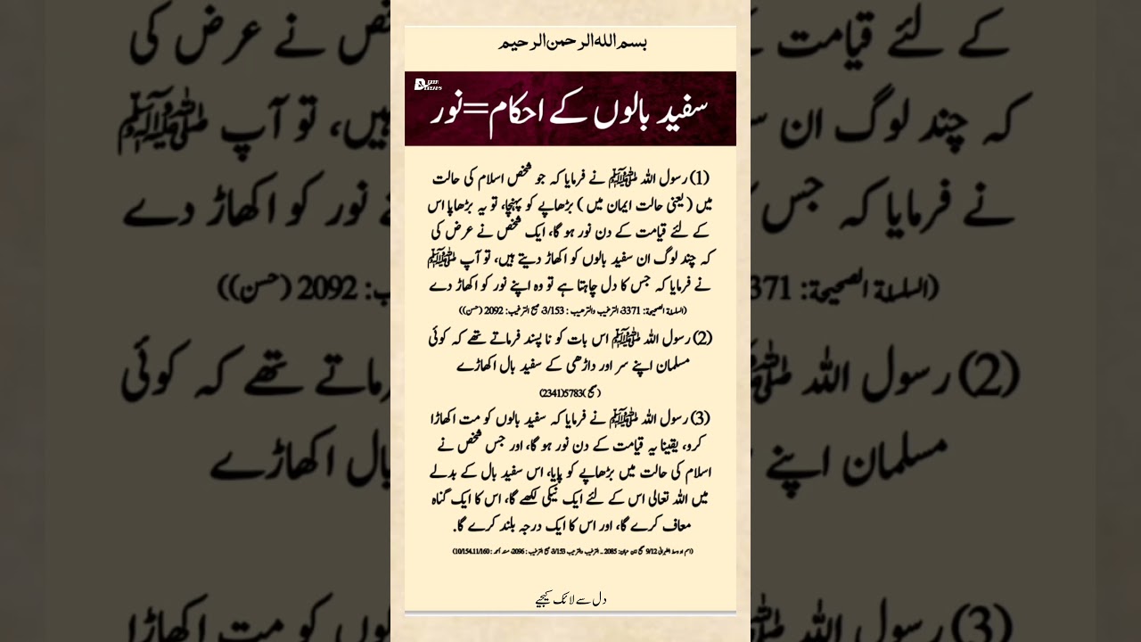 Hadith of Prophet Muhammad ﷺ |White Hair Is Light on the Day of Judgment 