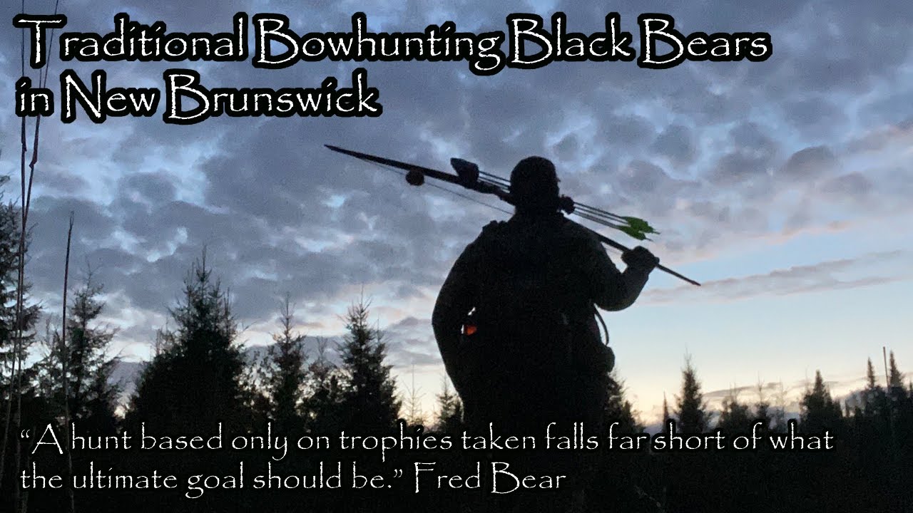 Traditional Bowhunting Black Bear in New Brunswick YouTube