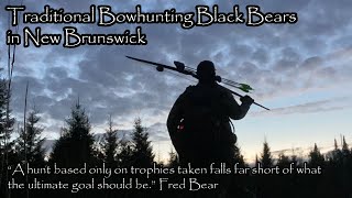Traditional Bowhunting Black Bear in New Brunswick