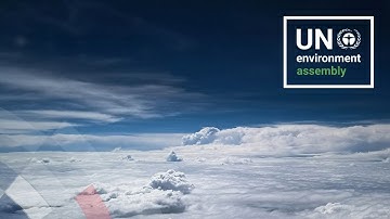 Synergies in the Chemicals and Waste Cluster: The Role of Emerging and Established Instruments