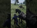 First time seeing this in game LOL #firstshortvideo #reddeadredemption  #rdr2 #rdr #short #shorts