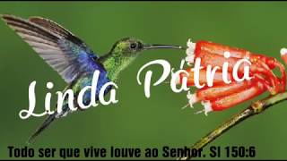 Linda Pátria (passarinhos belas flores) - Exilado Harpa Cristã 36