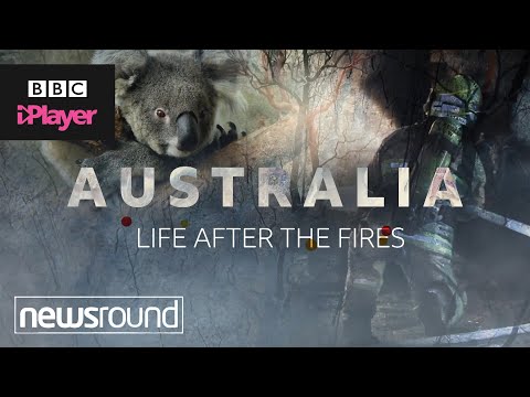 Video: Burning Australia, Iemand Verandert Het Klimaat Op Aarde - Alternatieve Mening