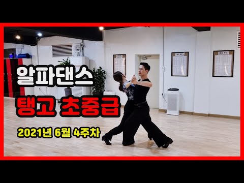 탱고 베이직 루틴 Tango Basic Routine - 등촌역 댄스스포츠 알파댄스