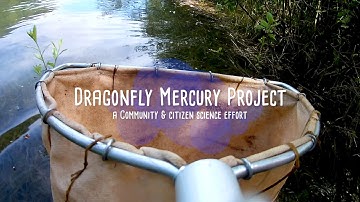 Dragonfly Mercury Project: A citizen and community science effort