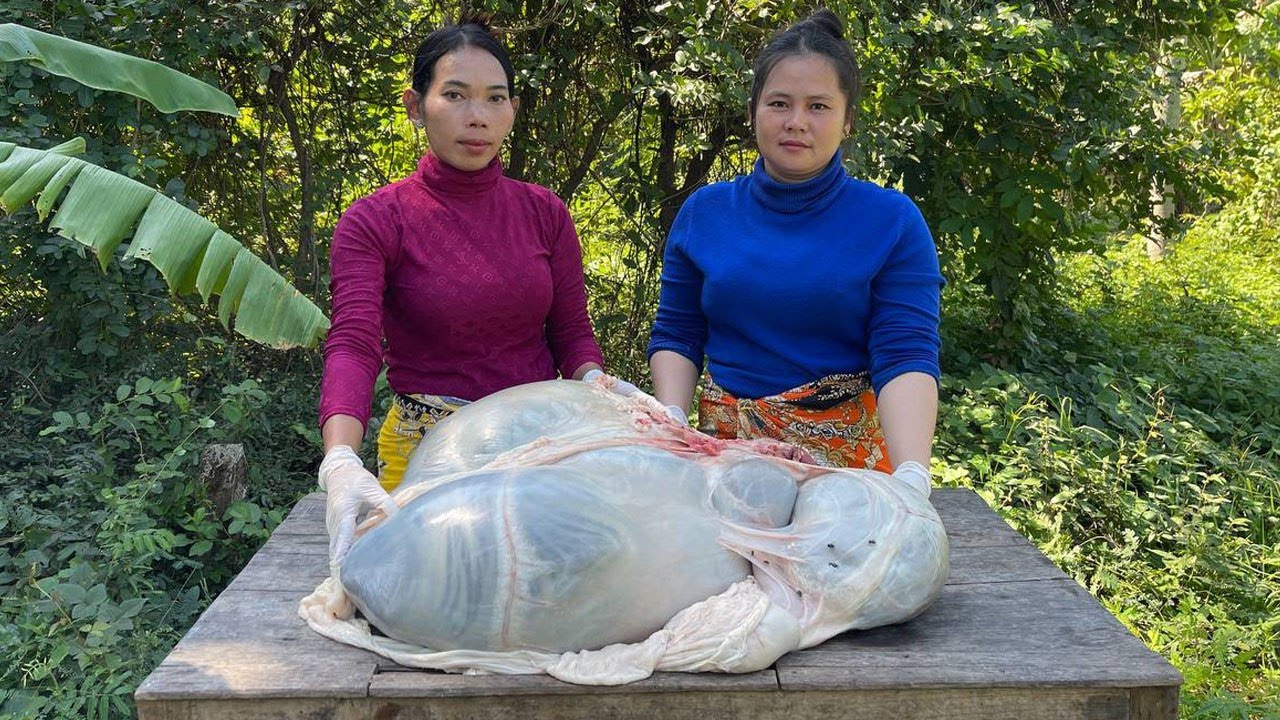Beef Honeycomb Tripe Curry Soup Recipe Tripe Cooking Skills Best beef-honeycomb-tripe-curry-soup-recipe-tripe-cooking-skills-best