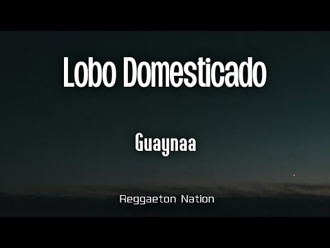 Guaynaa - LOBO