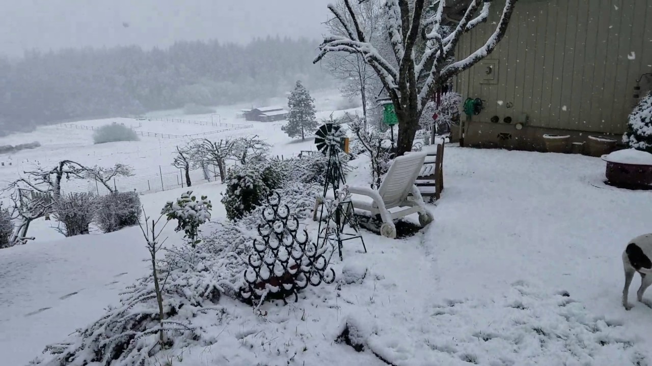 camera iphone 8 plus apk Lilly vs snow