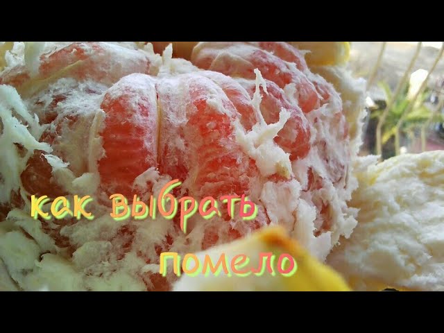 🍴Как выбрать помело.🍊 Дегустация красного помело.