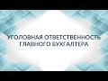 За что и как могут посадить главного бухгалтера или финансового директора