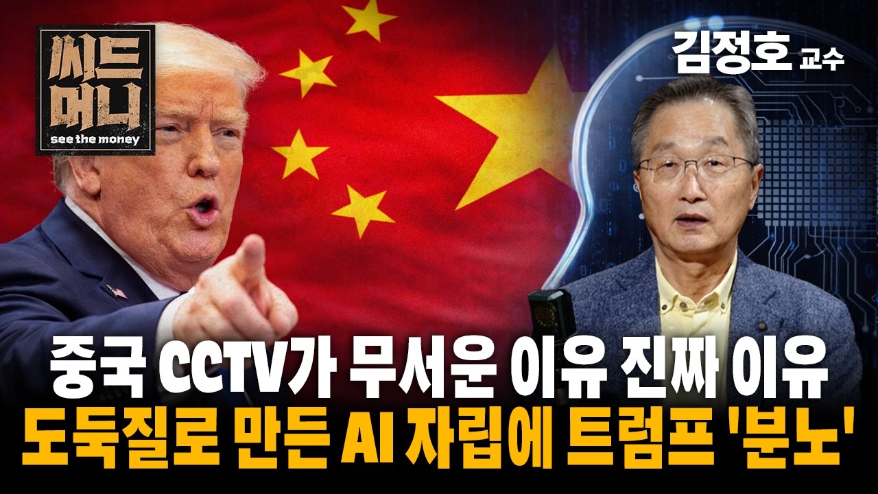 중국 수천만개 CCTV가 무서운 이유, 도둑질로 만든 AI 자립에 트럼프 '분노' (서강대 경제대학원 김정호 교수)