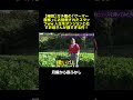 ガチ勢の「ゲーマー農家」にお説教されたスタッフww 人生をダンジョンと化すお母さんが強すぎる #マツコ #月曜から夜ふかし #村上信五