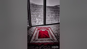 من أجمل ما قرأ القارئ أمين موسى. ج١٤٤