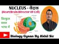 #NUCLEUS#DIRECTOR#BRAIN OF CELL,  केंद्रक किसे कहते हैं!#Biologygyaanbyakhilsir🙏❤🚩