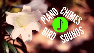 Morning Piano Music With Bird Sounds and Wind Chimes | 4 Minutes