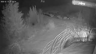 Ufo / Nol?. 15.01.2026 Infrared Recording. Every Day There Are Many Flyovers Of Various Objects