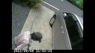 DVMPG4 20120906 11 13