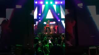Bad Bunny Show In Austin Tx 3/4/2018 Bad Bunny Show In Austin Tx 3/4/2018