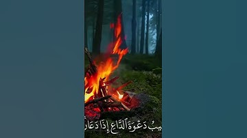 قران كريم لعلها تشفع لك يوم القيامه #يايالله#يَاحَيُّ_يَاقَيُّوْمُ_بِرَحْمَتِكَ_أَسْتَغِيْث