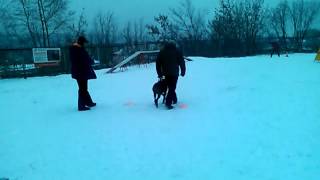 WP 20151220 028
