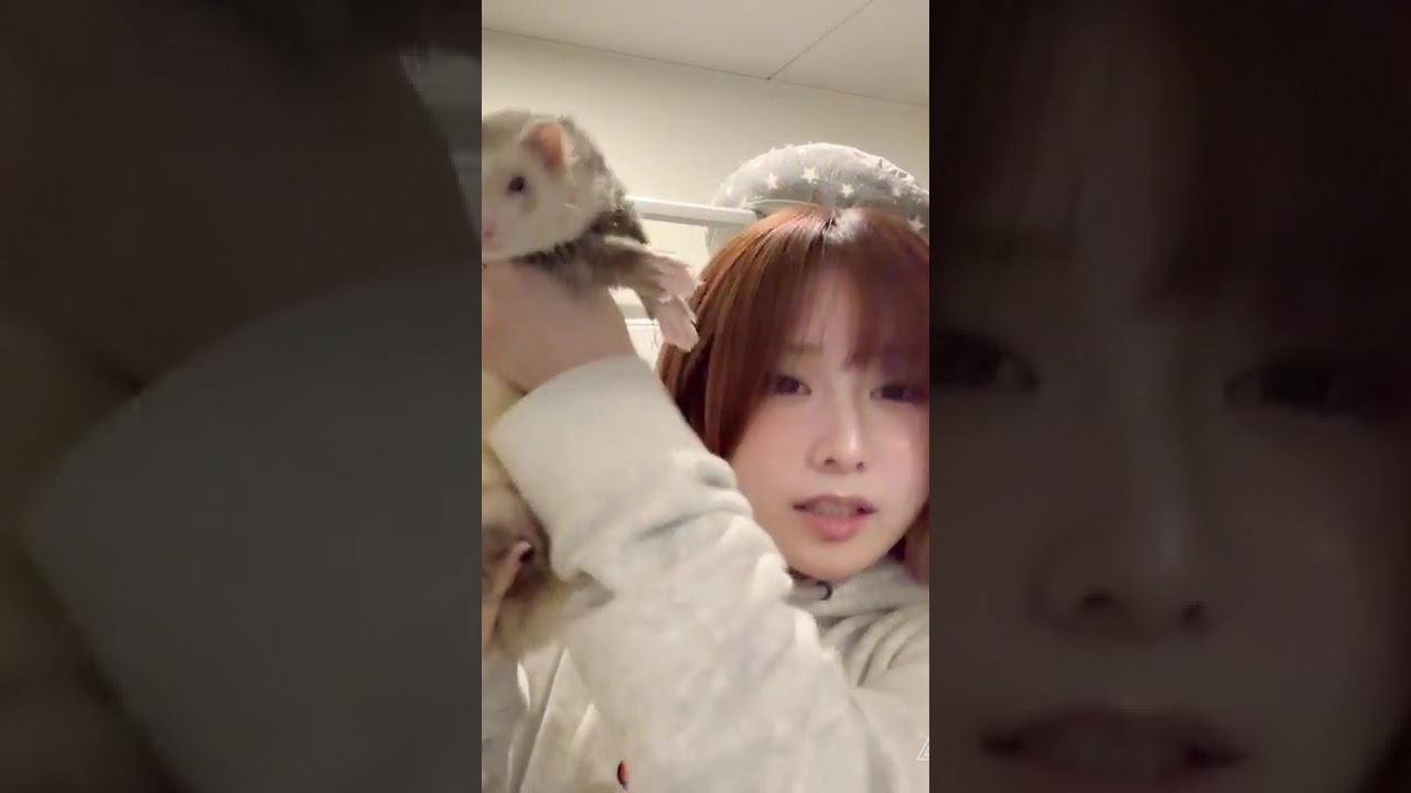 ズッシリモチモチ | #aisakamegumi (#Twitch)