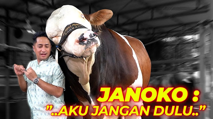 AKHIRNYA TAHU ISI HATI PARA SAPI GW.. "ALHAMDULILLAH IKHLAS YA MOO.."  😭
