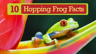 10 Hopping Frog Facts