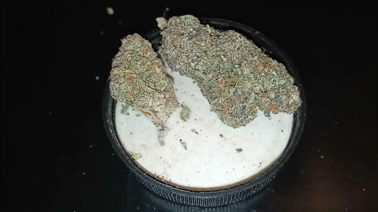 Bubble Bath strain review YouTube