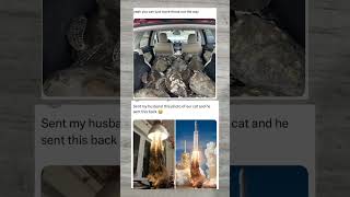 Funny Animal Content Fans Love This Rocket Cat Meme 🌟