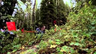 DATAStream - Mainframe
