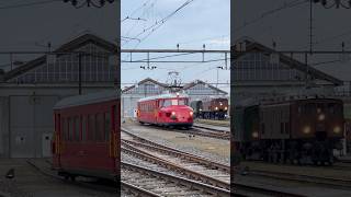 Roterpfeil RAe 2/4 1001 - Fitnessfahrten Olten