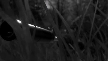 A CoD Montage for once