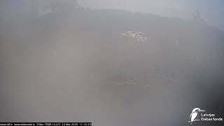 J E20260323 111400FemaleOutBothCallNearbyMatingMaybeOneInMaleMaybe