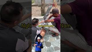 ☀️ HƯỚNG DẪN CÁCH LẮP ĐẶT ĐÈN BÀN CHẢI 300W NĂNG LƯỢNG MẶT TRỜI ☀️