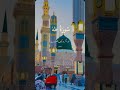 .#SurahTaha#Ayah46#QuranRecitation#IslamicReminder#HolyQuran#PeaceOfHeart#IslamicVideo