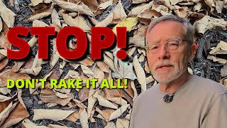 Fall Garden Cleanup Made Easy: Do Less, Help Nature More