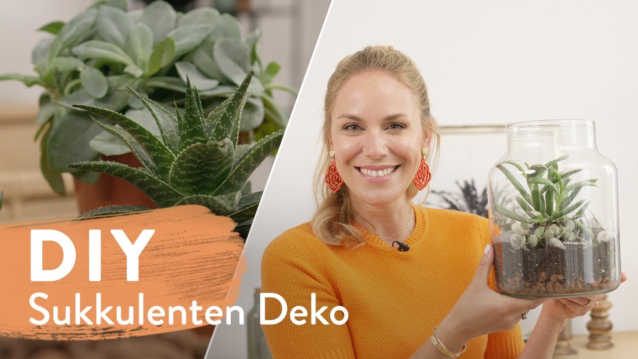 Sukkulenten Deko | DIY | Westwing