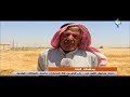 محافظة الرقة حصاد محصول القمح جيد على الرغم من قلة الحصادات وضعف الإمكانات المقدمة