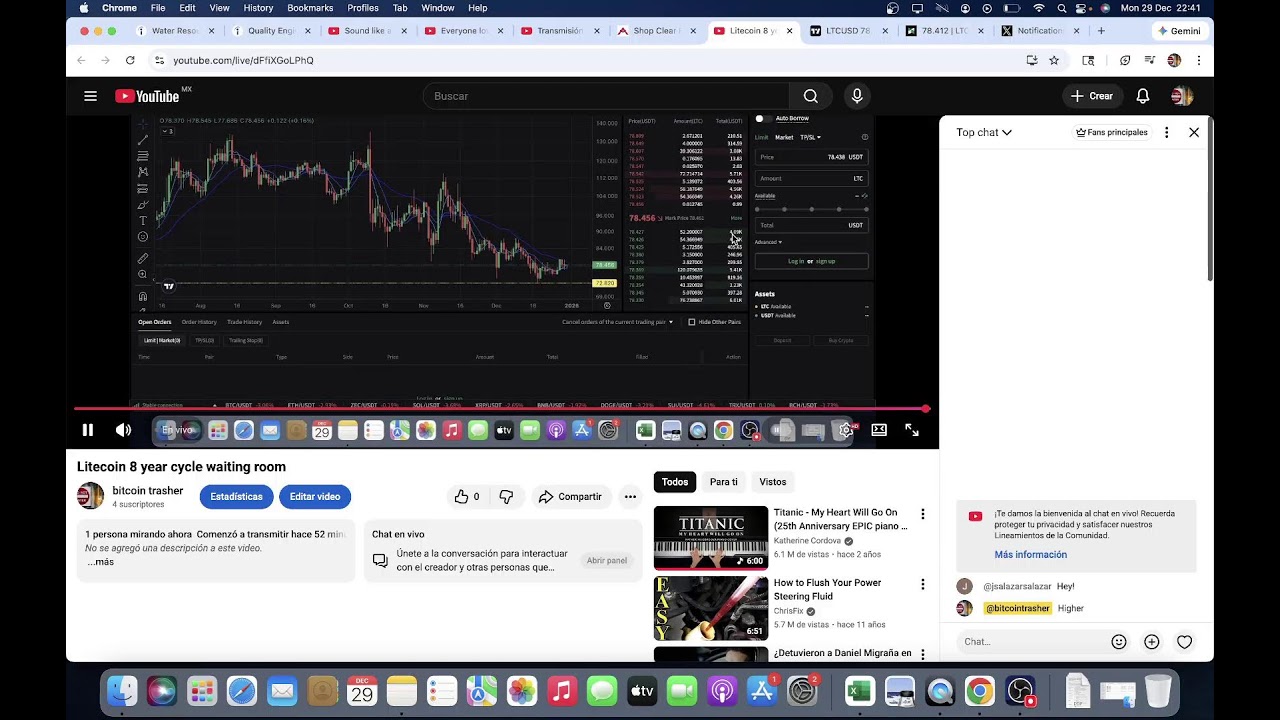 Litecoin 8 year cycle waiting room